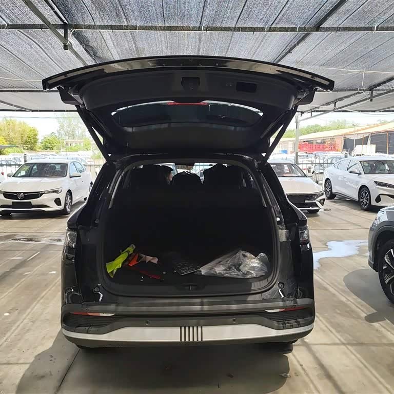 Sea Lion 05 DM-i 2025 DM-i 75KM Premium Edition Sea Lion 05 DM-i 2025 DM-i 75KM Premium Edition