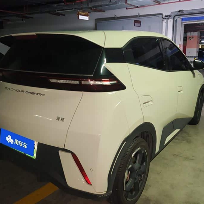 Seagull 2023 Vitality Edition Seagull 2023 Vitality Edition