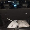 Seagull 2023 Vitality Edition