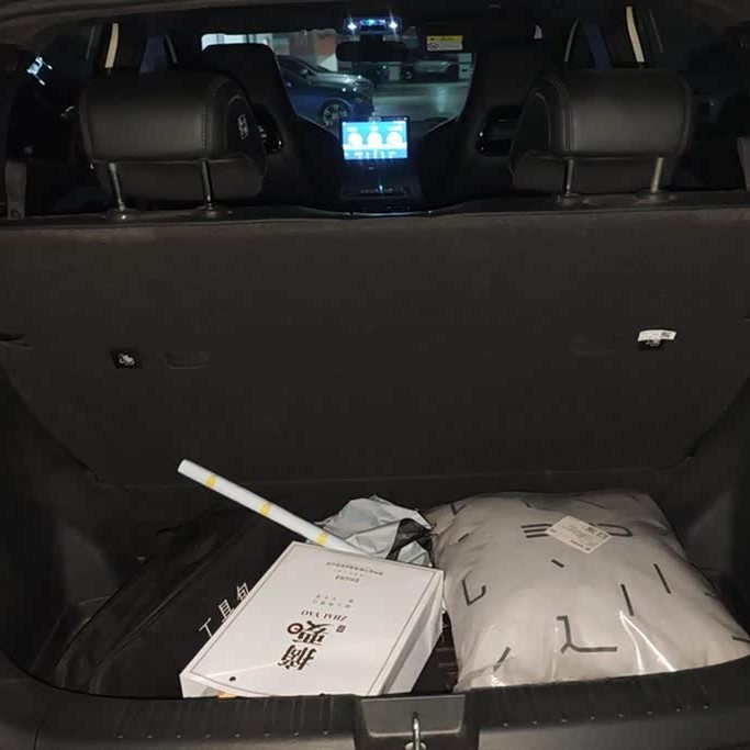 Seagull 2023 Vitality Edition Seagull 2023 Vitality Edition