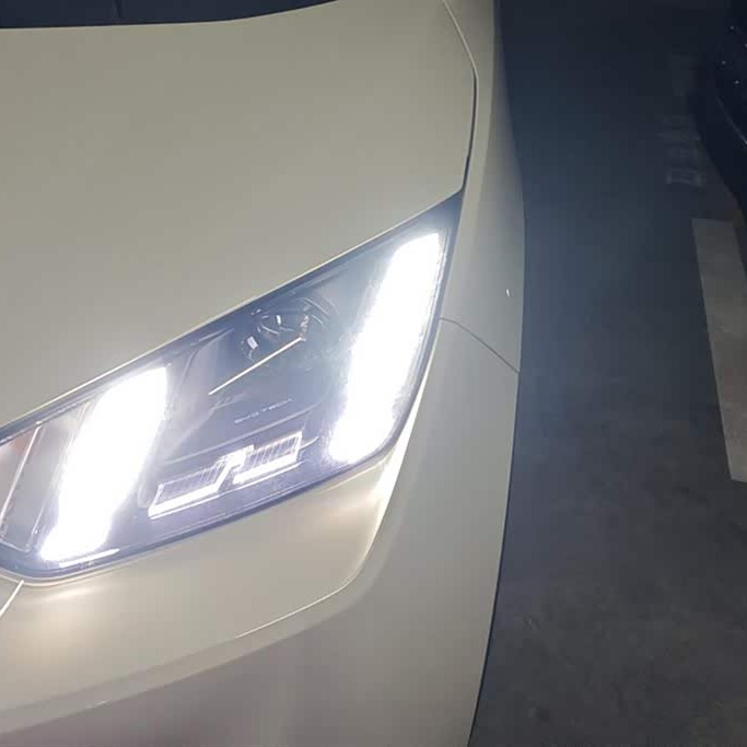 Seagull 2023 Vitality Edition Seagull 2023 Vitality Edition