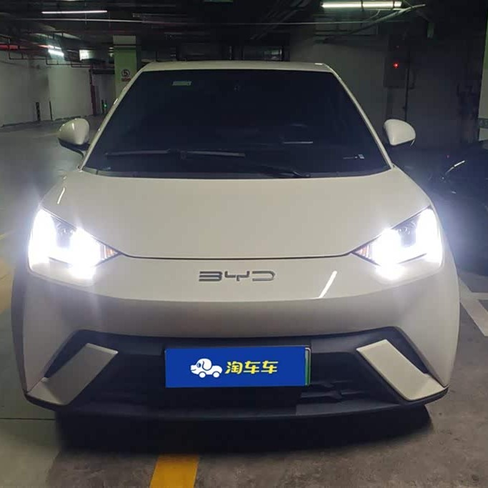 Seagull 2023 Vitality Edition Seagull 2023 Vitality Edition