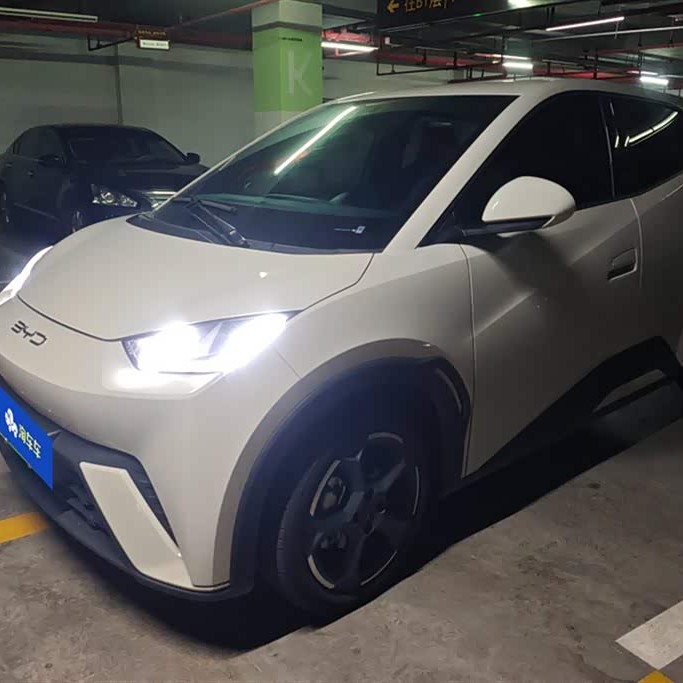 Seagull 2023 Vitality Edition