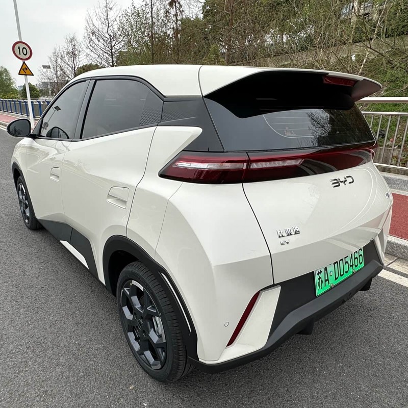 Seagull 2025 305km Freedom Edition Seagull 2025 305km Freedom Edition