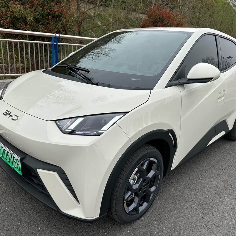 Seagull 2025 305km Freedom Edition