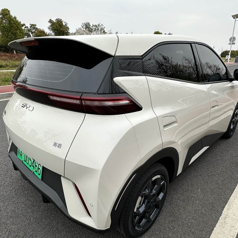 Seagull 2025 305km Freedom Edition Seagull 2025 305km Freedom Edition