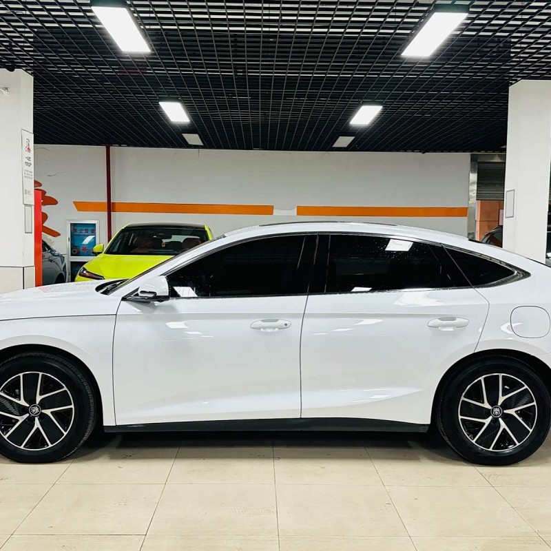 Qin L 2024 DM-i 120KM Beyond Edition Qin L 2024 DM-i 120KM Beyond Edition