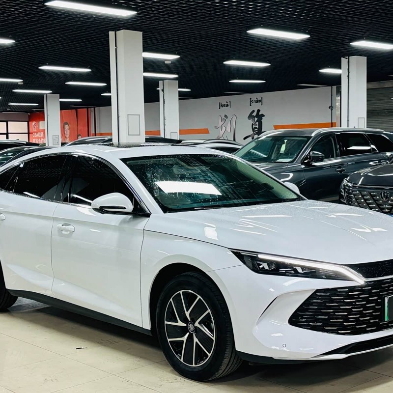 Qin L 2024 DM-i 120KM Beyond Edition Qin L 2024 DM-i 120KM Beyond Edition