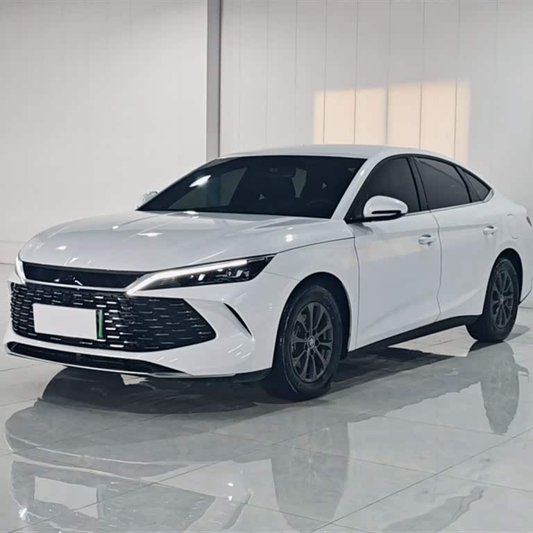 Qin L 2024 DM-i 80KM Leading Edition