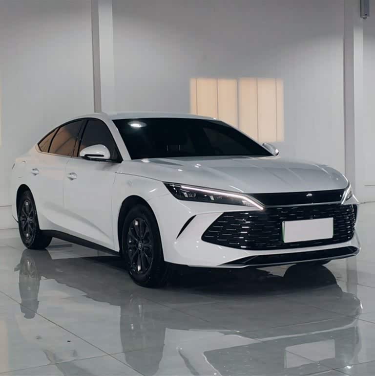 Qin L 2024 DM-i 80KM Leading Edition Qin L 2024 DM-i 80KM Leading Edition