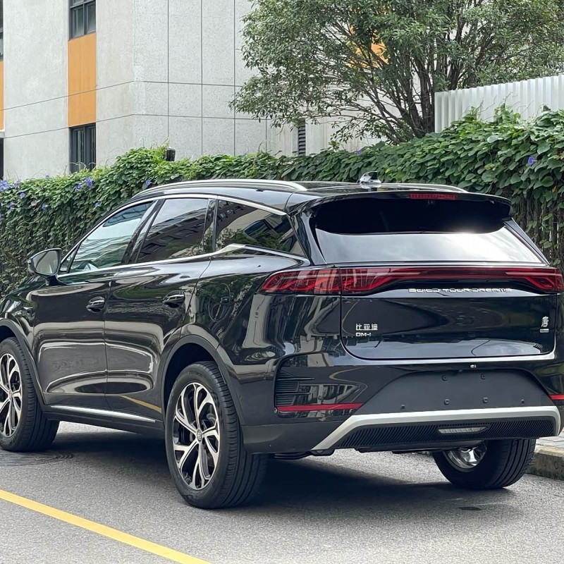 Tang New Energy 2025 DM-i Intelligent Driving Edition 115KM Flagship Model Tang New Energy 2025 DM-i Intelligent Driving Edition 115KM Flagship Model