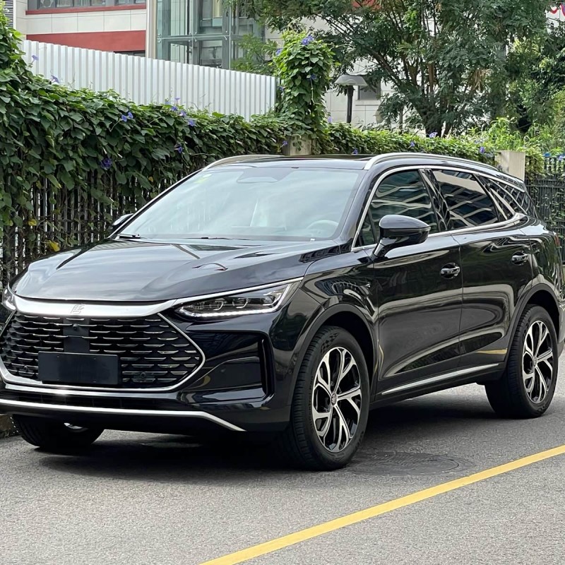 Tang New Energy 2025 DM-i Intelligent Driving Edition 115KM Flagship Model