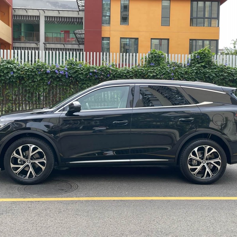 Tang New Energy 2025 DM-i Intelligent Driving Edition 115KM Flagship Model Tang New Energy 2025 DM-i Intelligent Driving Edition 115KM Flagship Model