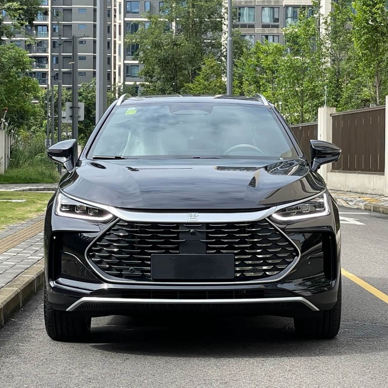 Tang New Energy 2025 DM-i Intelligent Driving Edition 115KM Flagship Model Tang New Energy 2025 DM-i Intelligent Driving Edition 115KM Flagship Model