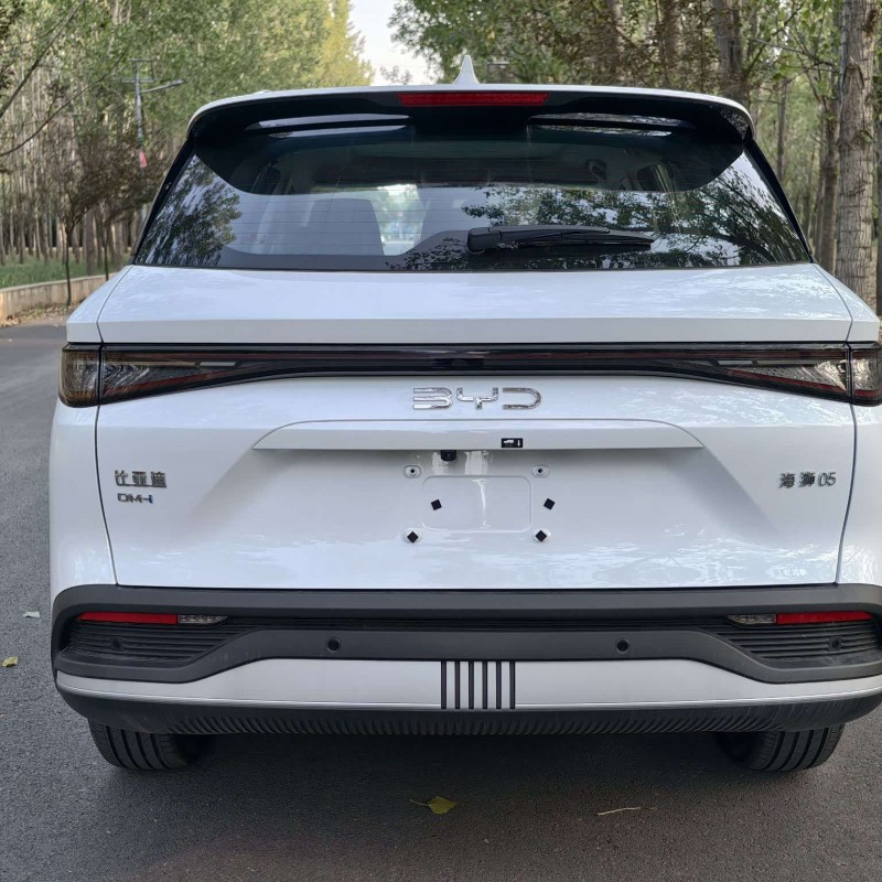 Sea Lion 05 DM-i 2025 DM-i 75KM Premium Edition Sea Lion 05 DM-i 2025 DM-i 75KM Premium Edition