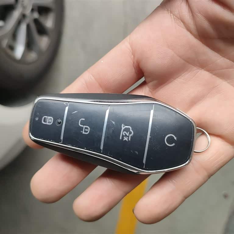 Qin L 2024 DM-i 80KM Leading Edition Qin L 2024 DM-i 80KM Leading Edition