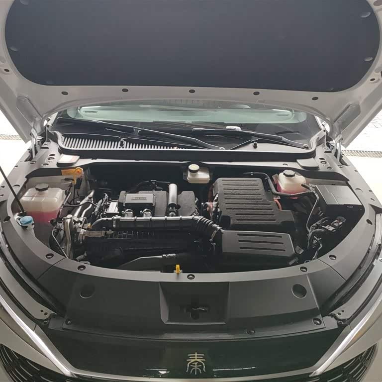 Qin L 2024 DM-i 80KM Leading Edition Qin L 2024 DM-i 80KM Leading Edition