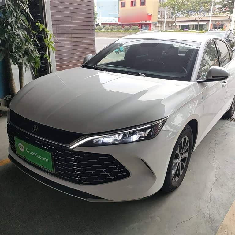 Qin L 2024 DM-i 80KM Leading Edition