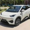 Seagull 2025 305km Vitality Edition