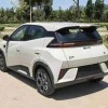 Seagull 2025 305km Vitality Edition