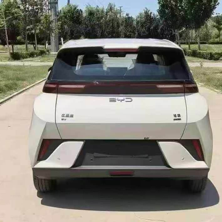 Seagull 2025 305km Vitality Edition Seagull 2025 305km Vitality Edition