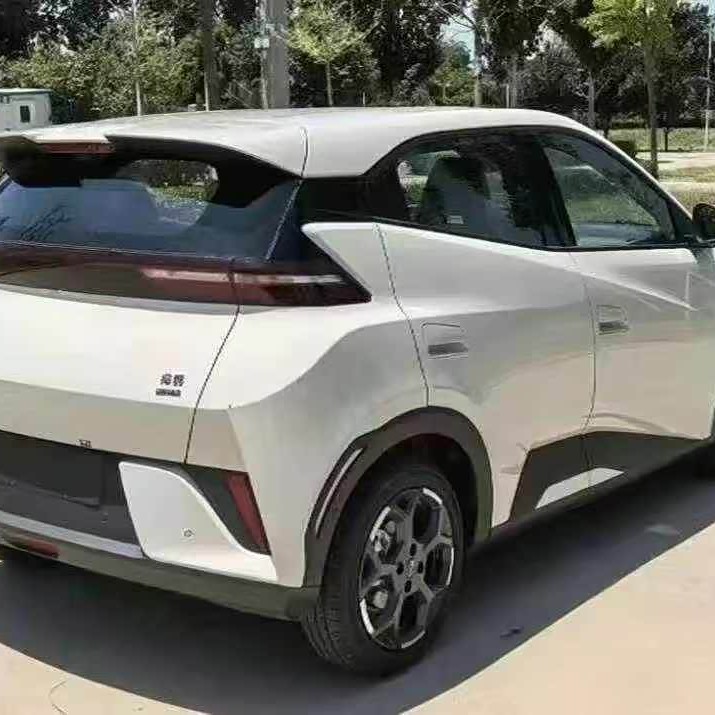 Seagull 2025 305km Vitality Edition Seagull 2025 305km Vitality Edition