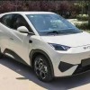 Seagull 2025 305km Vitality Edition