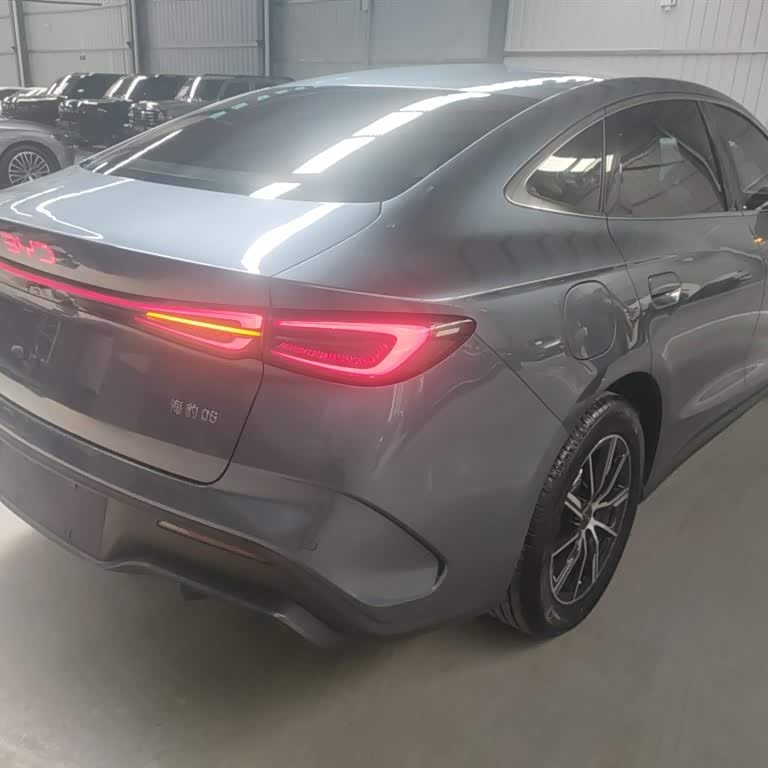 Haibao 06 New Energy 2024 DM-i 80KM Premium Edition Haibao 06 New Energy 2024 DM-i 80KM Premium Edition