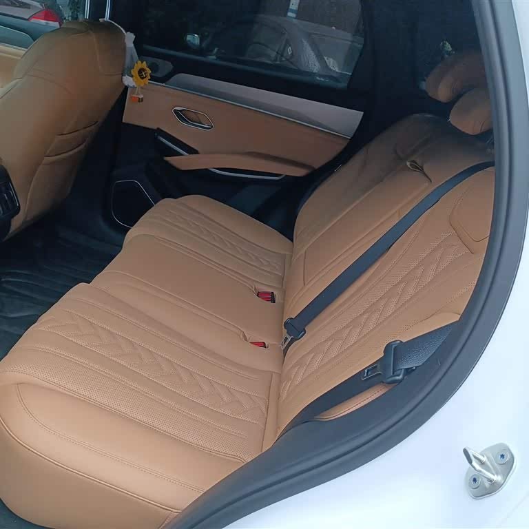 Song L DM-i 2024 model 160km surpassing model Song L DM-i 2024 model 160km surpassing model