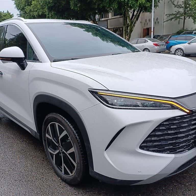 Song L DM-i 2024 model 160km surpassing model Song L DM-i 2024 model 160km surpassing model