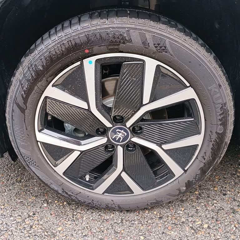 Song L DM-i 2024 model 160km surpassing model Song L DM-i 2024 model 160km surpassing model
