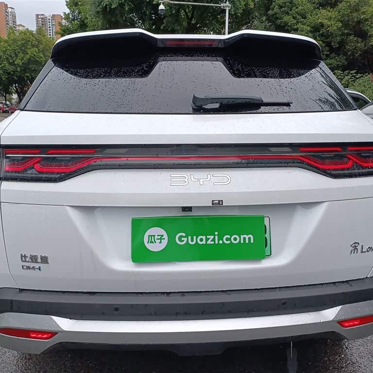 Song L DM-i 2024 model 160km surpassing model Song L DM-i 2024 model 160km surpassing model