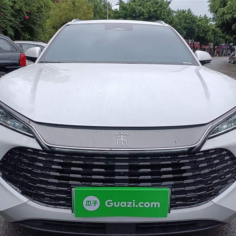 Song L DM-i 2024 model 160km surpassing model Song L DM-i 2024 model 160km surpassing model