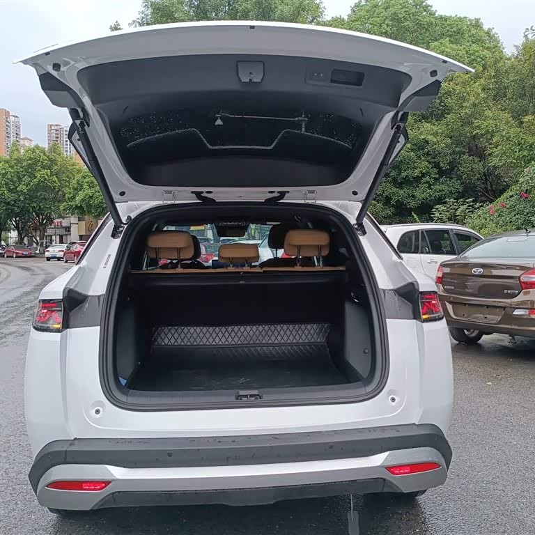 Song L DM-i 2024 model 160km surpassing model Song L DM-i 2024 model 160km surpassing model