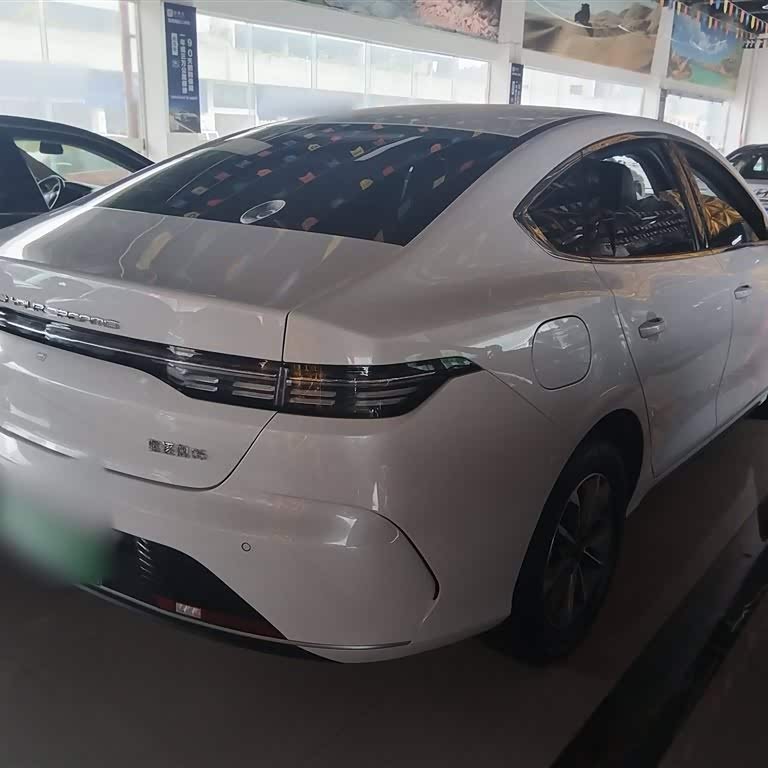 Destroyer 05 2024 Glory Edition DM-i 55KM Luxury Model Destroyer 05 2024 Glory Edition DM-i 55KM Luxury Model