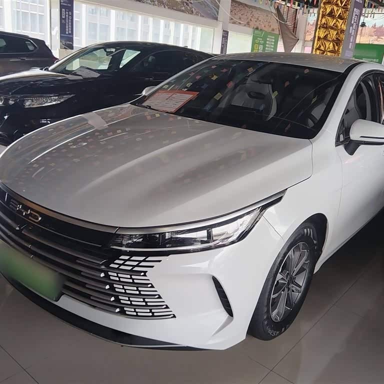 Destroyer 05 2024 Glory Edition DM-i 55KM Luxury Model Destroyer 05 2024 Glory Edition DM-i 55KM Luxury Model