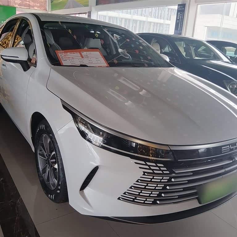 Destroyer 05 2024 Glory Edition DM-i 55KM Luxury Model Destroyer 05 2024 Glory Edition DM-i 55KM Luxury Model