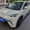Seagull 2023 Vitality Edition Seagull 2023 Vitality Edition