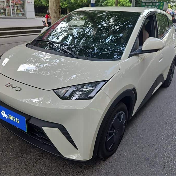 Seagull 2023 Vitality Edition Seagull 2023 Vitality Edition