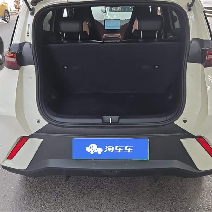 Seagull 2023 Vitality Edition Seagull 2023 Vitality Edition