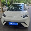 Seagull 2023 Vitality Edition Seagull 2023 Vitality Edition