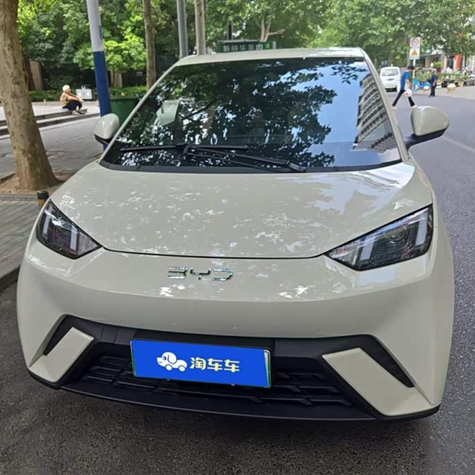 Seagull 2023 Vitality Edition Seagull 2023 Vitality Edition