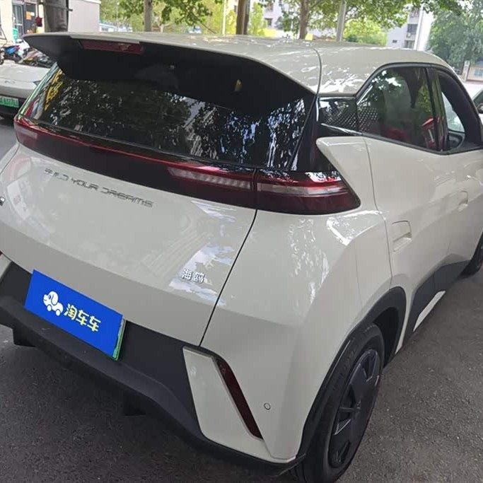Seagull 2023 Vitality Edition Seagull 2023 Vitality Edition