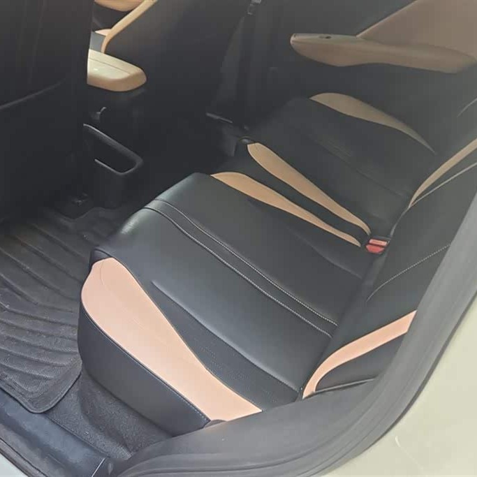 Seagull 2023 Vitality Edition Seagull 2023 Vitality Edition