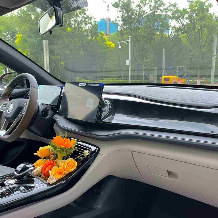 Qin PLUS 2024 Honor Edition DM-i 55KM Leading Edition Qin PLUS 2024 Honor Edition DM-i 55KM Leading Edition