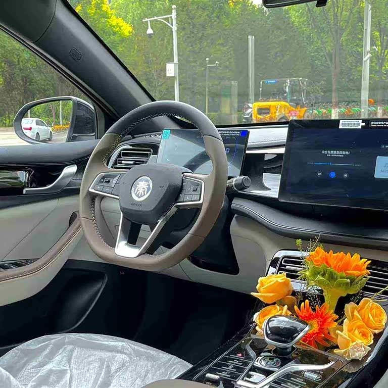 Qin PLUS 2024 Honor Edition DM-i 55KM Leading Edition Qin PLUS 2024 Honor Edition DM-i 55KM Leading Edition