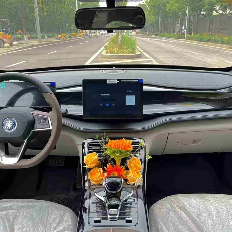 Qin PLUS 2024 Honor Edition DM-i 55KM Leading Edition Qin PLUS 2024 Honor Edition DM-i 55KM Leading Edition