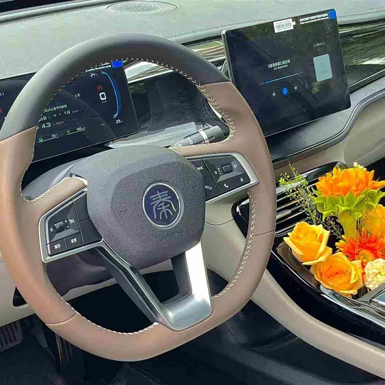 Qin PLUS 2024 Honor Edition DM-i 55KM Leading Edition Qin PLUS 2024 Honor Edition DM-i 55KM Leading Edition