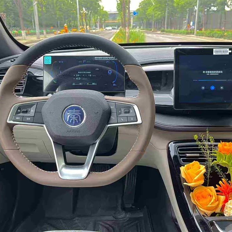 Qin PLUS 2024 Honor Edition DM-i 55KM Leading Edition Qin PLUS 2024 Honor Edition DM-i 55KM Leading Edition