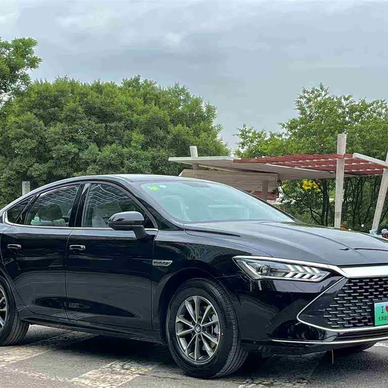 Qin PLUS 2024 Honor Edition DM-i 55KM Leading Edition Qin PLUS 2024 Honor Edition DM-i 55KM Leading Edition